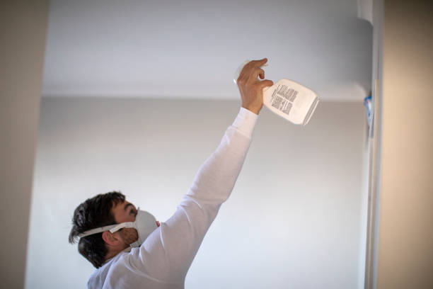 Best Toxic Mold Removal  in Oakland, PA